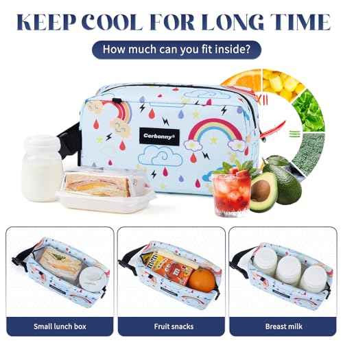 Small Cooler Bag