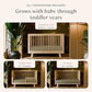 Hudson 3-in-1 Convertible Baby Crib, Natural