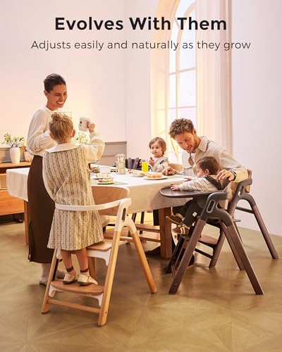 5-in-1 Convertible Wooden High Chair for Babies & Toddlers, Walnut