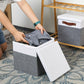 Foldable Fabric Storage Bins with Lids (2 Count)