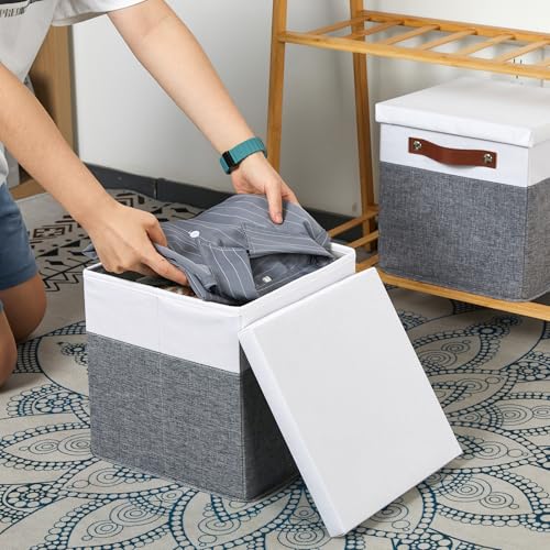 Foldable Fabric Storage Bins with Lids (2 Count)