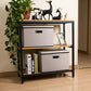 Large Foldable Storage Bins with Lids [3 (3 Count)