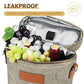2 Bottle Insulated Wine Tote Carrier Bag