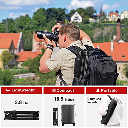 Tripod for Camera