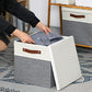 Cube Storage Bins with Lids for Organizing Clothes (2 Count)