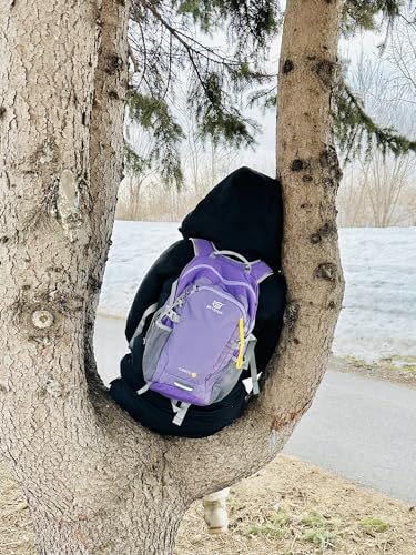 Small Hiking Backpack