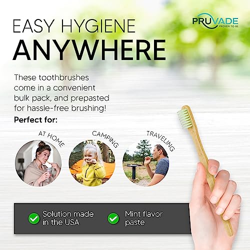 12 Pack Disposable Bamboo Toothbrushes with Toothpaste