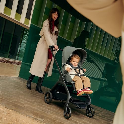Dragonfly Stroller Car Seat Compatible Compact Fold