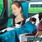 Travel Blanket Pillow