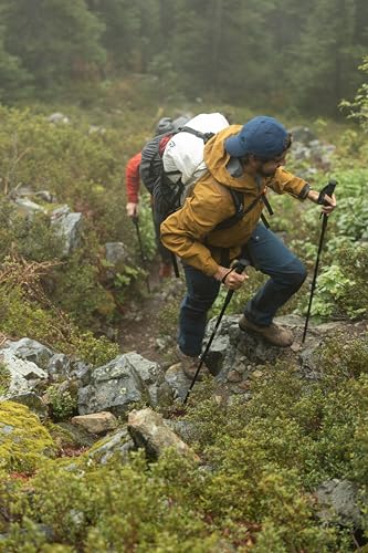 Trekking Poles (2 Count)