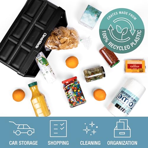 Collapsible Storage Bins (3 Count)