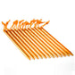 Aluminum Alloy Tent Stakes Pegs (12 Count)