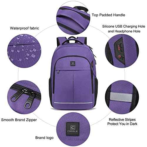 17.3 Inch Travel Laptop Backpack