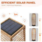 2 Piece Outdoor Floor Lamp Solar Lantern (2 Count)