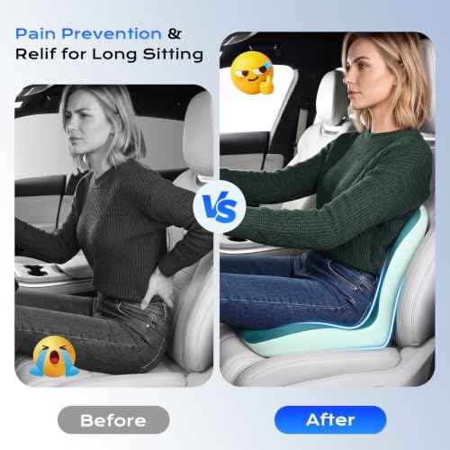 Car Seat Cushion and Lumbar Support Pillow One Piece