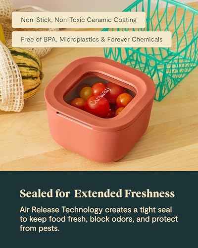 Mini Square Food Storage Container