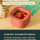 Mini Square Food Storage Container