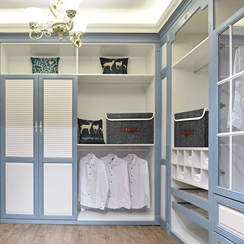 Collapsible Storage Boxes (2 Count)