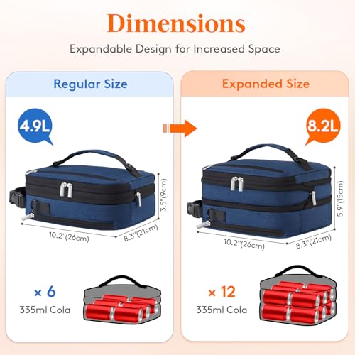 Insulated Lunch Box for Men