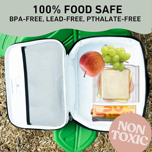 Green Lunch Box for Girls