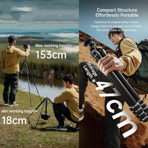 FALCAM TreeRoot F38 Quick Lock Lite Carbon Fiber Tripod with Ball Head