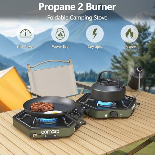 Propane 2 Burner Camping Stove with Carrying Bag and Gas Stove Pressure Regulator