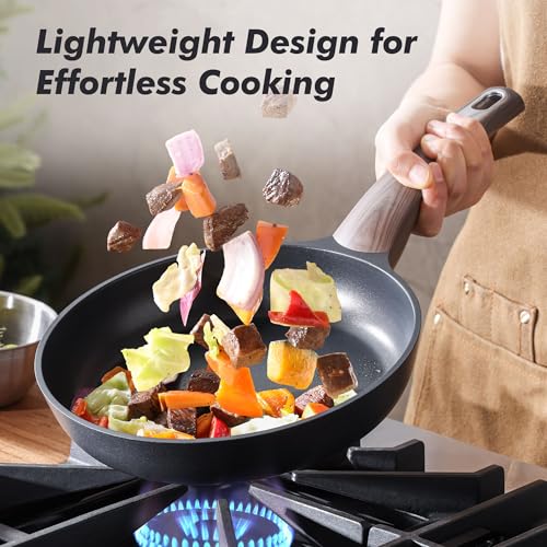 11Inch Nonstick Frying Pan Paella Pan