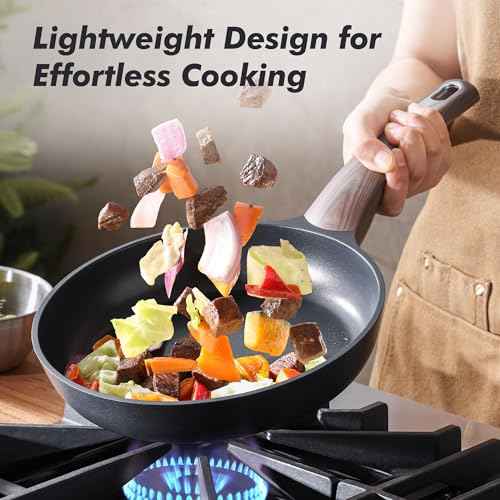 11inch Nonstick Frying Pan Paella Pan with Lid
