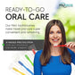 12 Pack Disposable Toothbrushes with Toothpaste (12 Count)