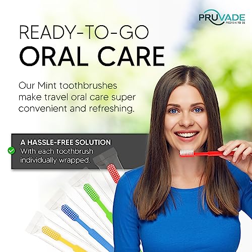 12 Pack Disposable Toothbrushes with Toothpaste (12 Count)