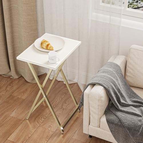 Foldable TV Trays (2 Count)