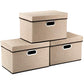 Collapsible Storage Cubes with Lids [3 (3 Count)
