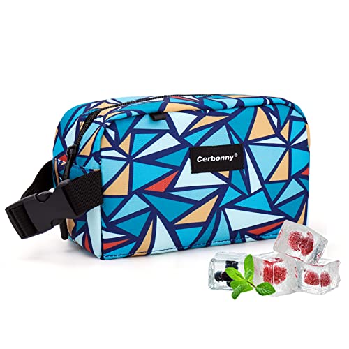 Small Lunch Bag