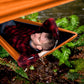 Hammock Rain Fly