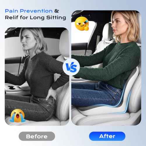 Car Seat Cushion and Lumbar Support Pillow One Piece