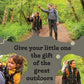 Hiking Baby Carrier Backpack