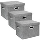 Large Storage Bins with Lids (3 Count)