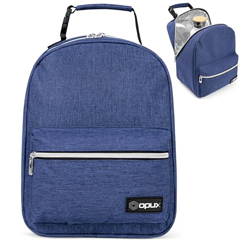 Insulated Lunch Box for Kids and Adults