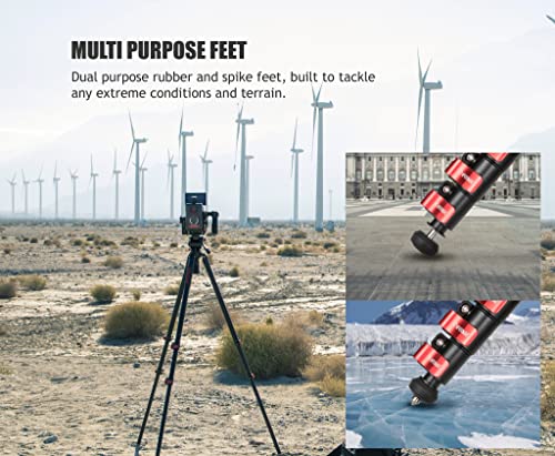 Gazelle Tripod