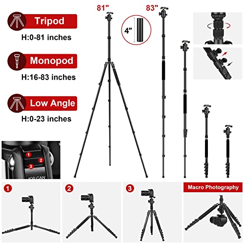 Tripod for Camera