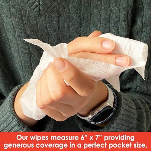 NEATwipes Sanitizing Wipes for Adults (96 Count)