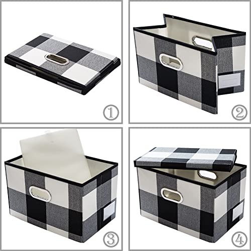 Large Collapsible Storage Bins with Lids [3 (3 Count)