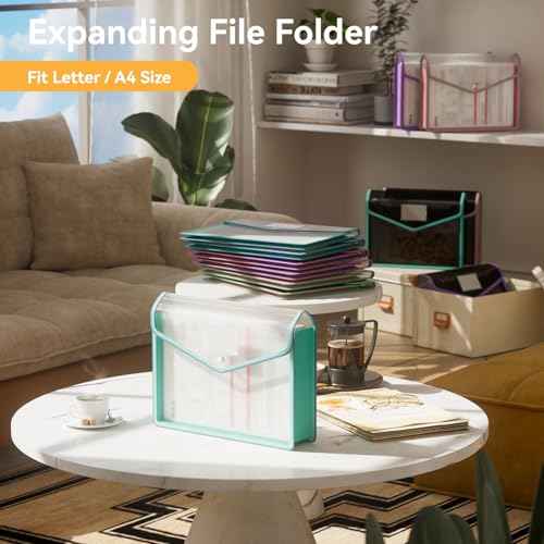 6 Pack File Folder (6 Count)