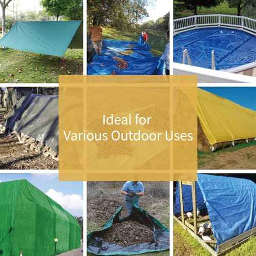Tarp Green 12x12 Feet Multi Purpose Waterproof Poly Tarp Cover 5mil (288 Sq Ft)