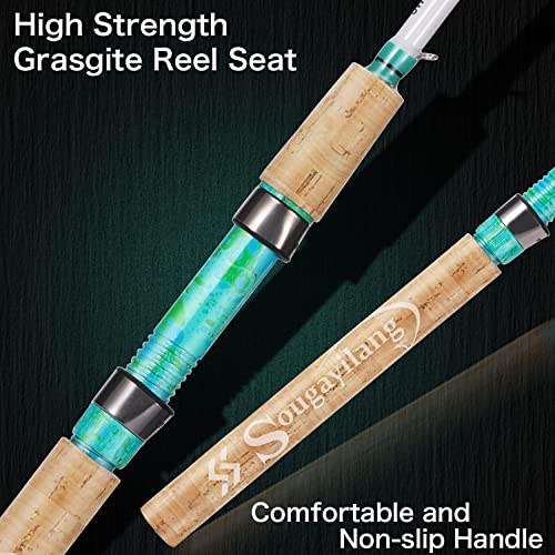 Spinning Fishing Rod Combo (2 Count)