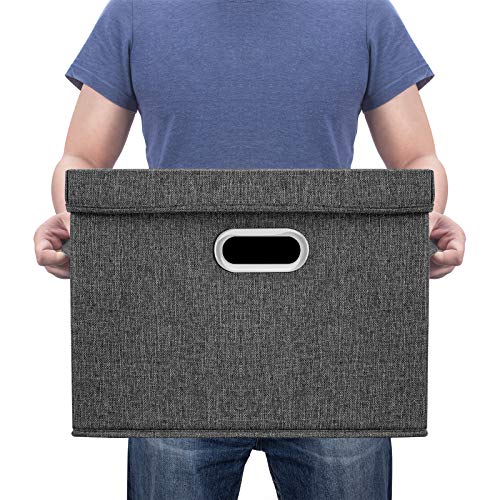 Large Storage Bins with Lids (2 Count)
