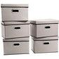 Foldable Storage Bin with Lid [5 (5 Count)