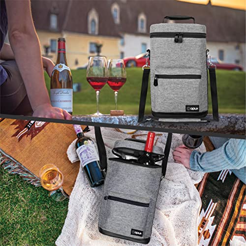 Insulated 2 Bottle Wine Bag Tote Leakproof Carrier Cooler Gift