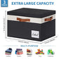 Large Storage Bins with Lids