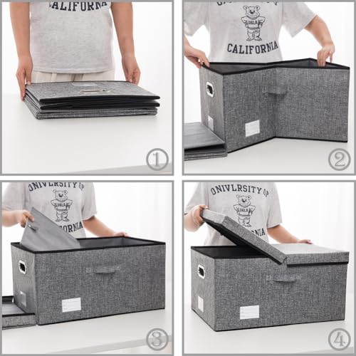 Storage Bins with Lids [3 (3 Count)